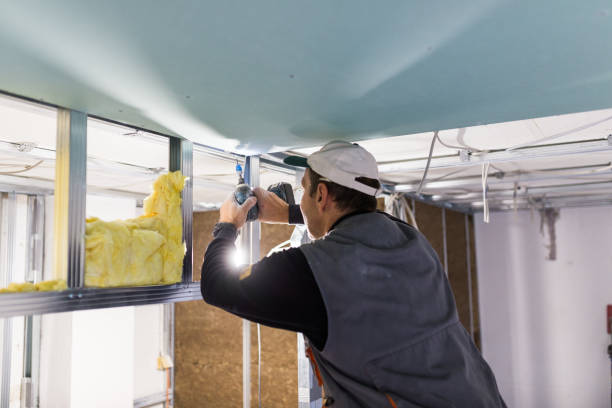 Trusted Ellington, MO Insulation Contractor Experts