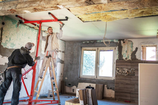 Best Insulation Maintenance and Repair in Ellington, MO